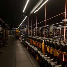 Processed BF6D46AB 7EF9 46C7 A980 3D131B5FD4C8