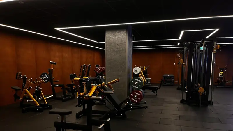 Processed D46977FE FE98 445B 8AED C96400452E0C